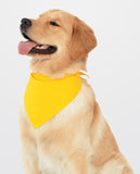 Gigraffe - Dog Bandanas - GB001