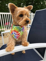 500 Dog bandanas - Shannon Signs