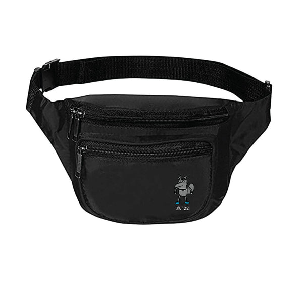 11 Fanny packs for / linsarat